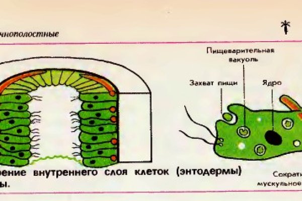 Нарко сайт кракен