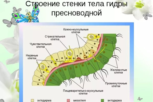 Пополнить кошелек кракен